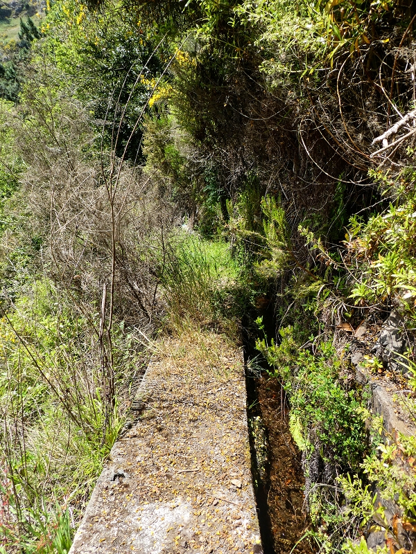 17 de maio de 2019 Para fechar: 5 levadas em Ponta do Sol — Até à Madre da Levada do Teixo — foto 14