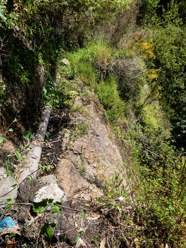 17 de maio de 2019 Para fechar: 5 levadas em Ponta do Sol — Até à Madre da Levada do Teixo — foto 15