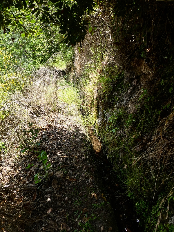 17 de maio de 2019 Para fechar: 5 levadas em Ponta do Sol — Até à Madre da Levada do Teixo — foto 16