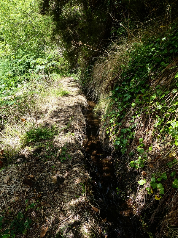 17 de maio de 2019 Para fechar: 5 levadas em Ponta do Sol — Até à Madre da Levada do Teixo — foto 17