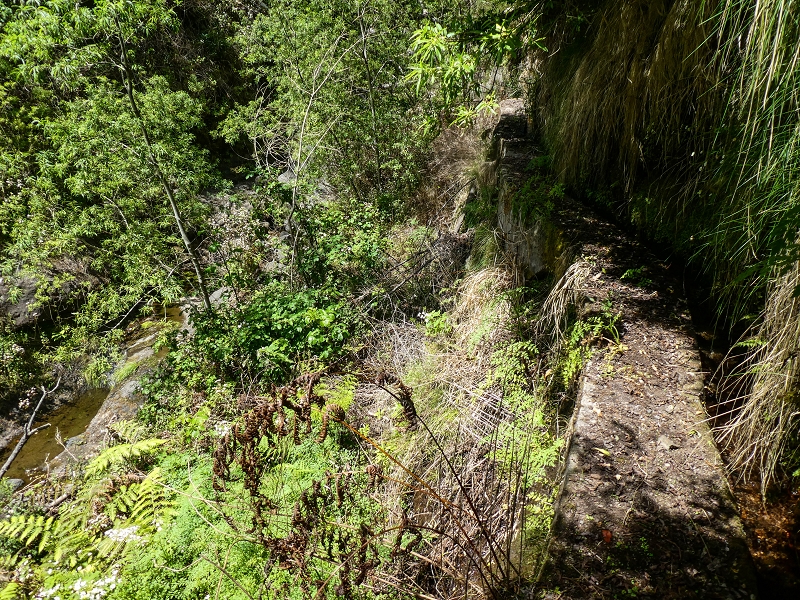17 de maio de 2019 Para fechar: 5 levadas em Ponta do Sol — Até à Madre da Levada do Teixo — foto 20