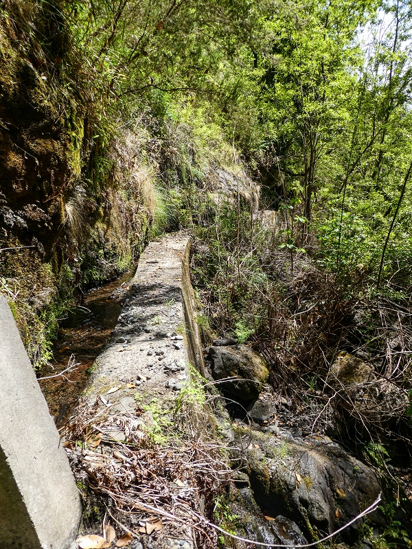17 de maio de 2019 Para fechar: 5 levadas em Ponta do Sol — Madre da Levada do Teixo — foto 2