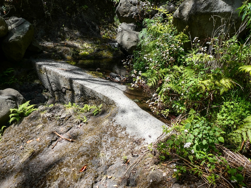 Levada do Teixo — The Madre — photo 2