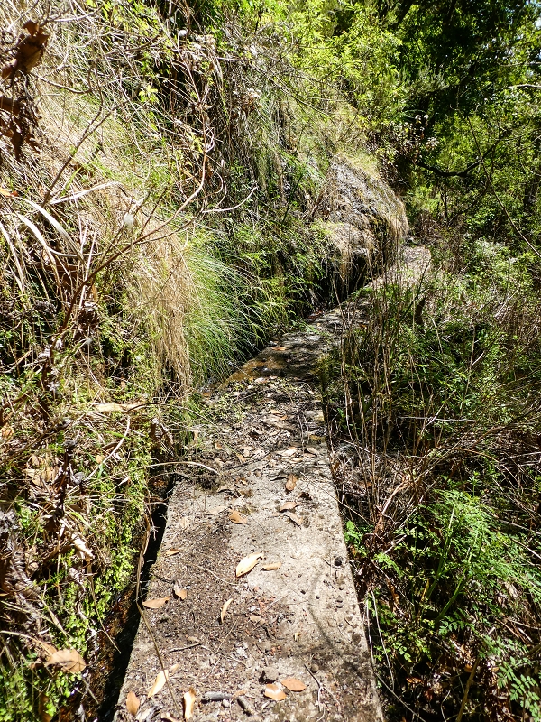 17 de maio de 2019 Para fechar: 5 levadas em Ponta do Sol — De volta a Jangao — foto 1