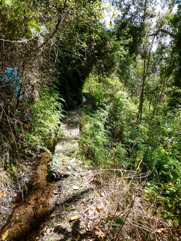 17 de maio de 2019 Para fechar: 5 levadas em Ponta do Sol — De volta a Jangao — foto 6