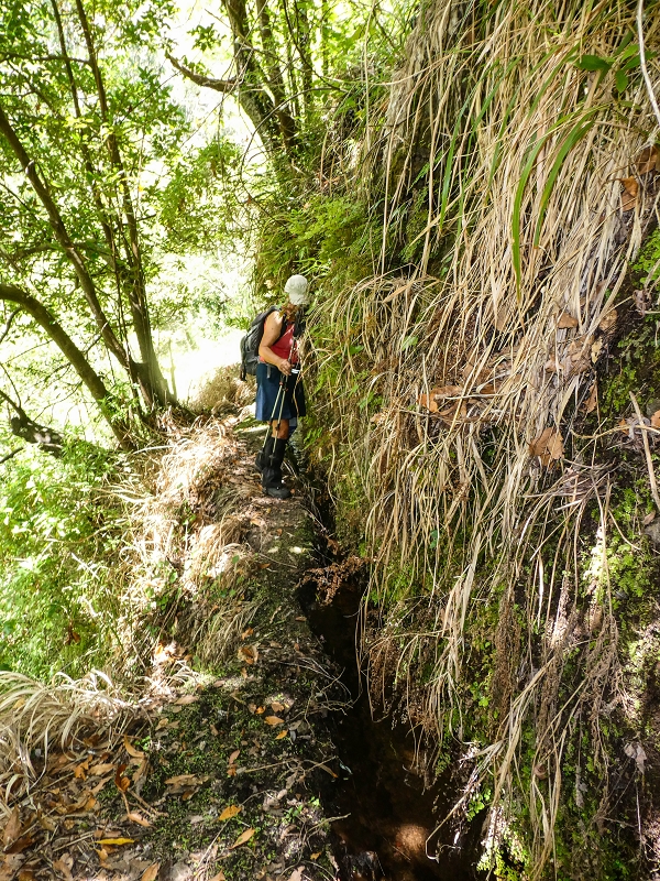17 de maio de 2019 Para fechar: 5 levadas em Ponta do Sol — De volta a Jangao — foto 7
