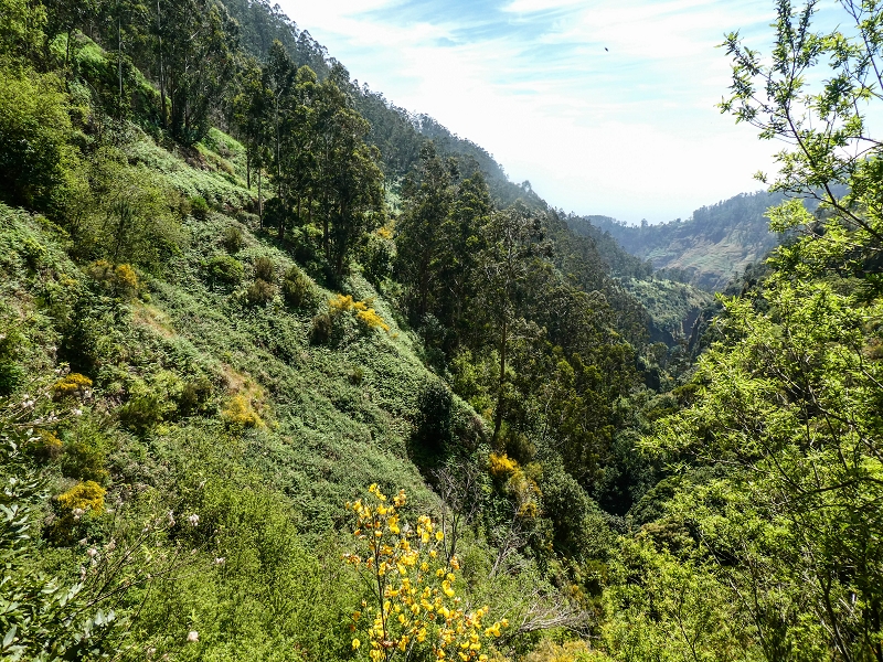 17 de maio de 2019 Para fechar: 5 levadas em Ponta do Sol — De volta a Jangao — foto 9