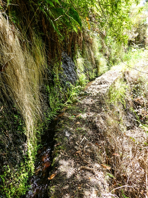 17 de maio de 2019 Para fechar: 5 levadas em Ponta do Sol — De volta a Jangao — foto 11