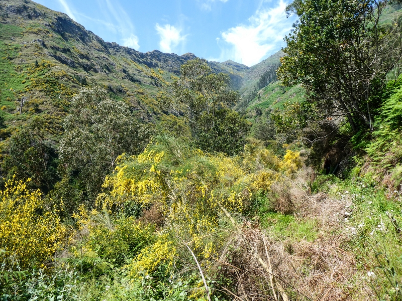 17 de maio de 2019 Para fechar: 5 levadas em Ponta do Sol — De volta a Jangao — foto 17