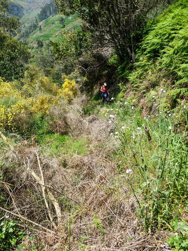 17 de maio de 2019 Para fechar: 5 levadas em Ponta do Sol — De volta a Jangao — foto 18