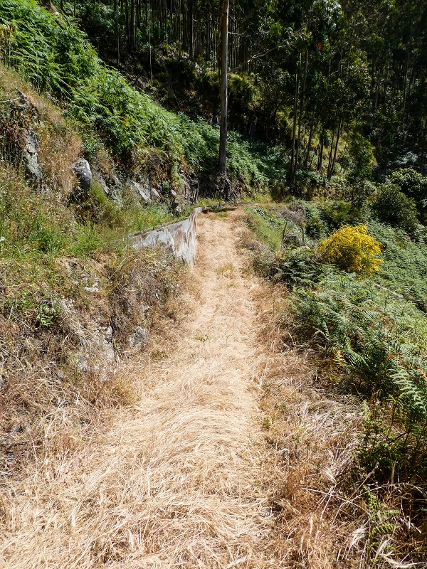 17 de maio de 2019 Para fechar: 5 levadas em Ponta do Sol — De volta a Jangao — foto 20
