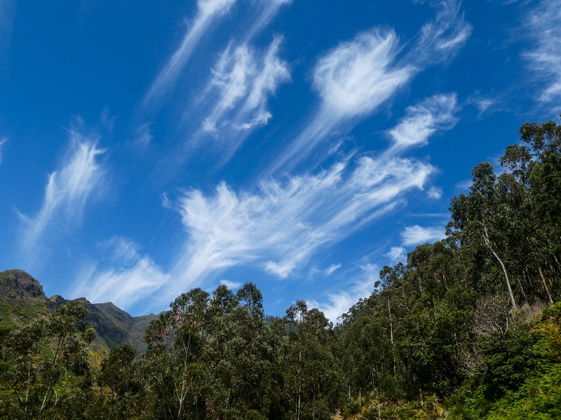 17 de maio de 2019 Para fechar: 5 levadas em Ponta do Sol — De volta a Jangao — foto 22