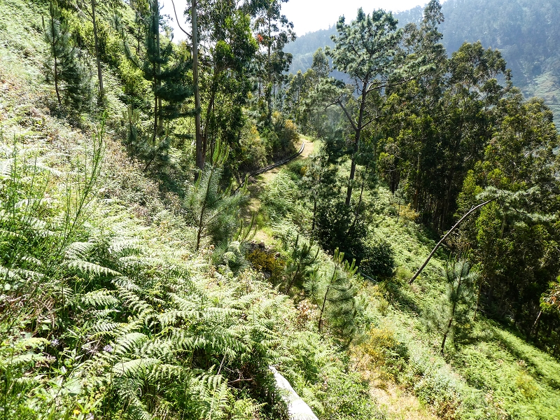 Levada do Teixo — The access road — photo 3