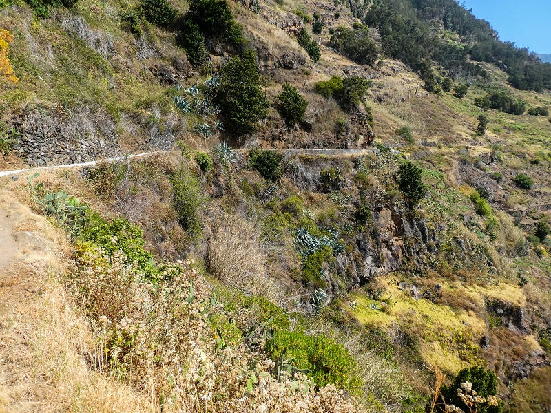 17 de maio de 2019 Para fechar: 5 levadas em Ponta do Sol — Na Levada do Coronel até à Madre 2 — foto 13