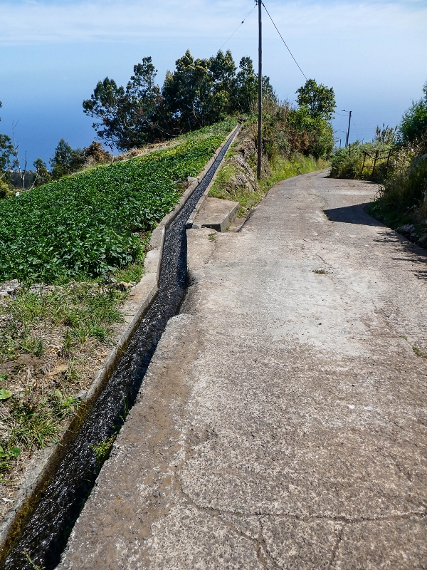 (da Ponta do Sol) — Ramo final oriental — foto 1