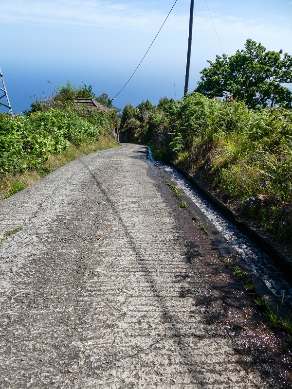 (da Ponta do Sol) — Ramo final oriental — foto 2