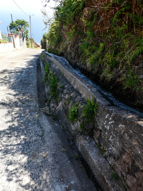 (da Ponta do Sol) — Ramo final oriental — foto 3