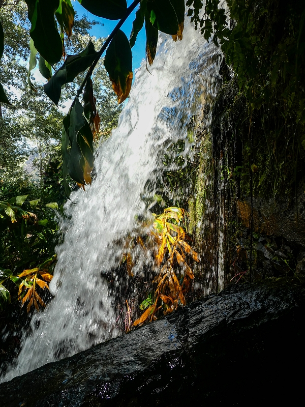 17 de maio de 2019 Para fechar: 5 levadas em Ponta do Sol — Levada do Moinho, moinho em Lombada — foto 5
