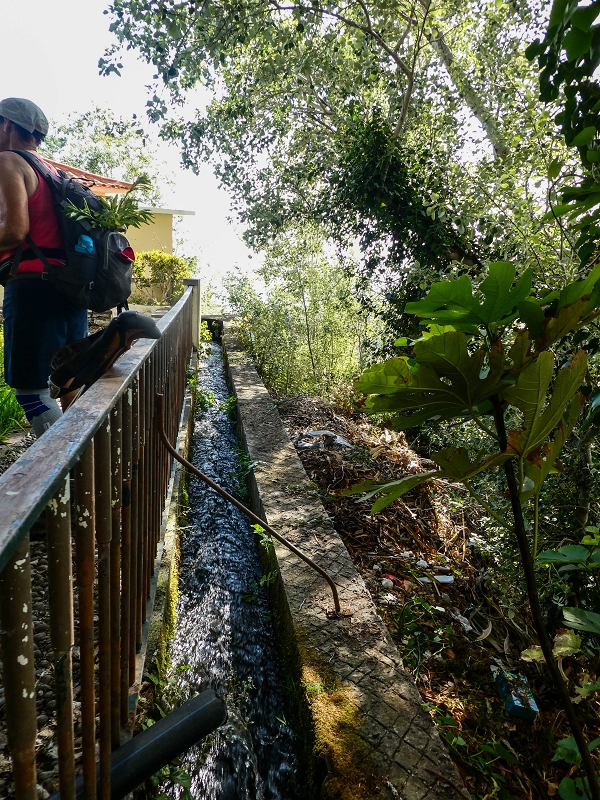 17 de maio de 2019 Para fechar: 5 levadas em Ponta do Sol — Levada do Moinho, moinho em Lombada — foto 7
