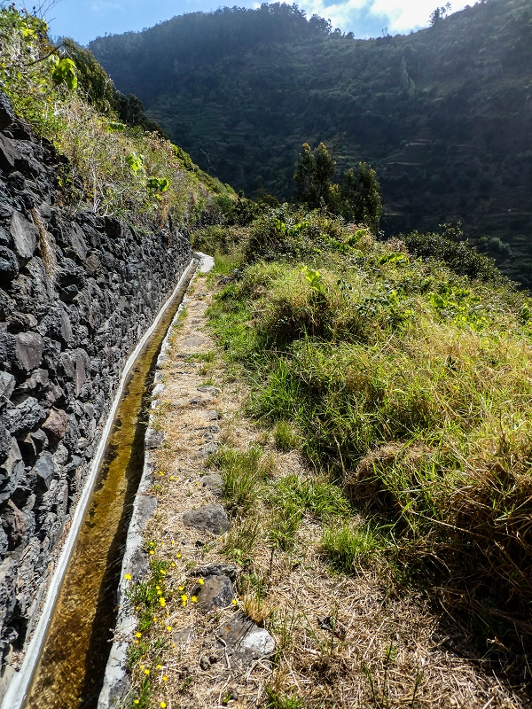 17 de maio de 2019 Para fechar: 5 levadas em Ponta do Sol — Na Levada do Coronel até à Madre 2 — foto 23