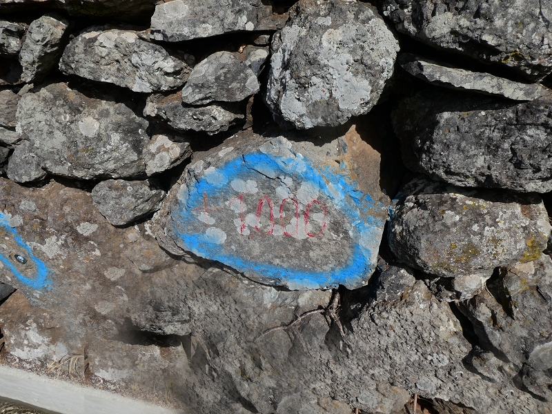 Levada do Coronel — Weiter bis zu den ersten Häusern — Foto 5