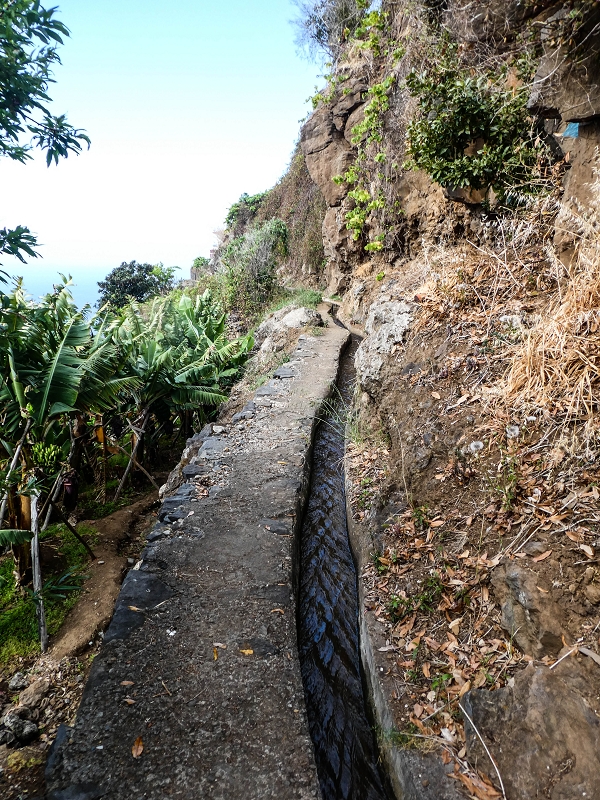 Levada do Coronel — Weiter bis zur ersten Strassenkreuzung — Foto 3