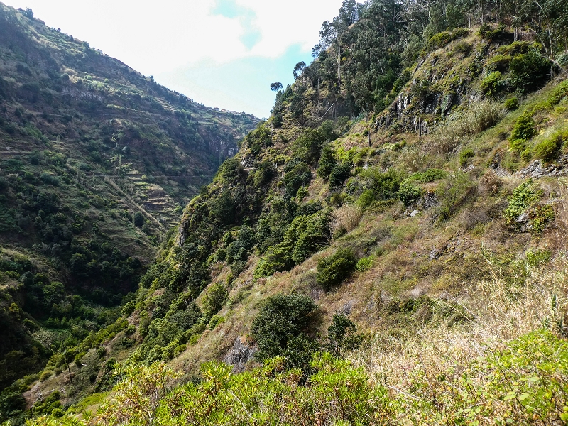 17 de maio de 2019 Para fechar: 5 levadas em Ponta do Sol — Na Levada do Coronel até à Madre 2 — foto 30