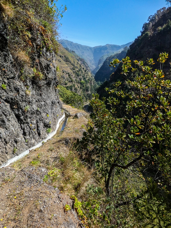 17 de maio de 2019 Para fechar: 5 levadas em Ponta do Sol — Na Levada do Coronel até à Madre 2 — foto 31