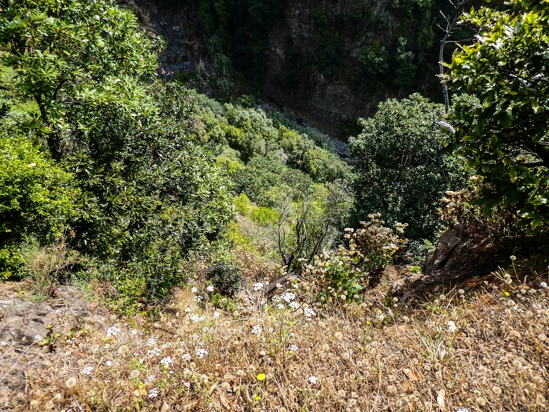 17 de maio de 2019 Para fechar: 5 levadas em Ponta do Sol — Na Levada do Coronel até à Madre 2 — foto 33