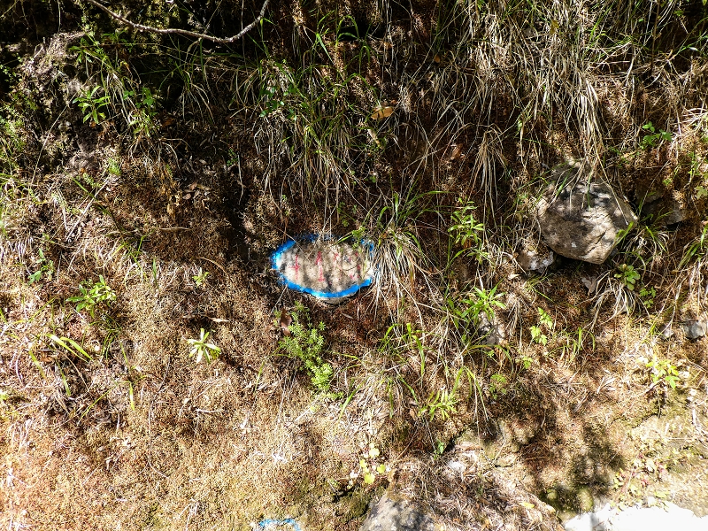 17 de maio de 2019 Para fechar: 5 levadas em Ponta do Sol — Na Levada do Coronel até à Madre 2 — foto 34