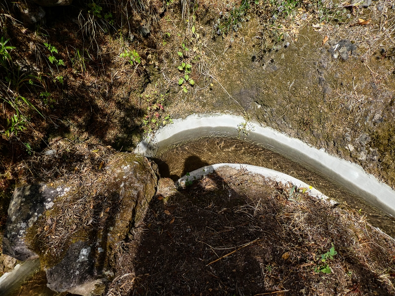 17 de maio de 2019 Para fechar: 5 levadas em Ponta do Sol — Na Levada do Coronel até à Madre 2 — foto 35