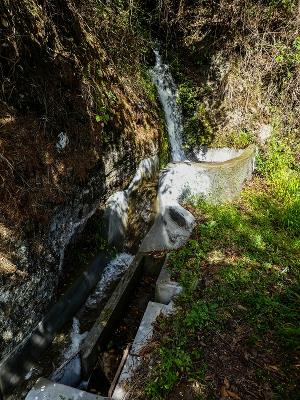 Levada do Coronel — Madre 2 — Foto 1