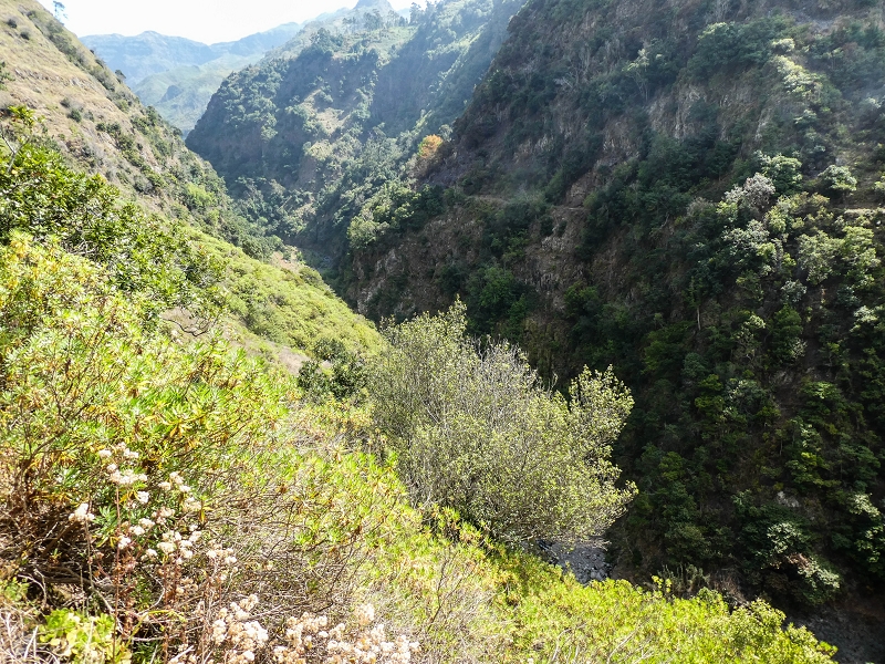17 de maio de 2019 Para fechar: 5 levadas em Ponta do Sol — Seguindo até ao túnel em galeria — foto 3
