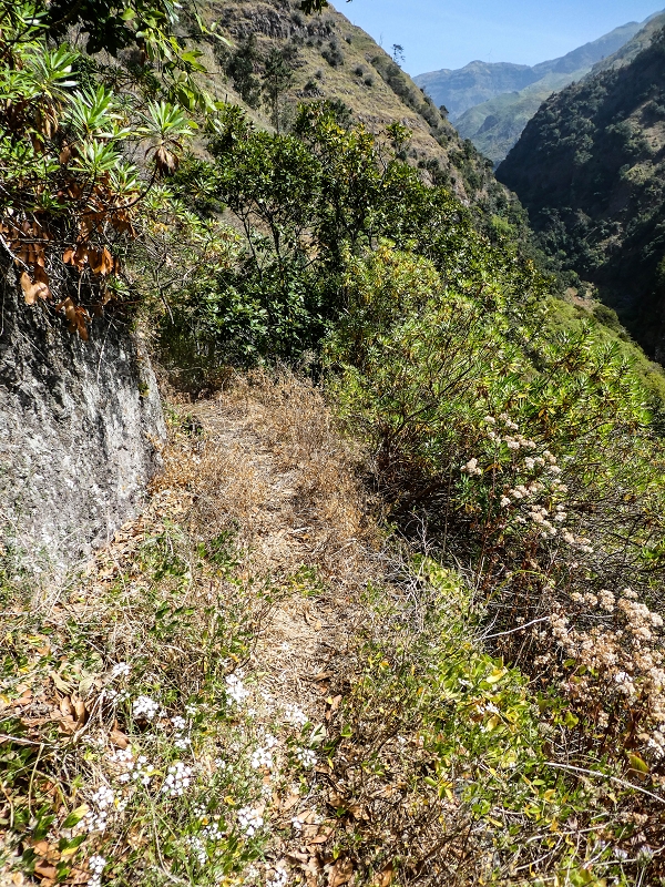 17 de maio de 2019 Para fechar: 5 levadas em Ponta do Sol — Seguindo até ao túnel em galeria — foto 5