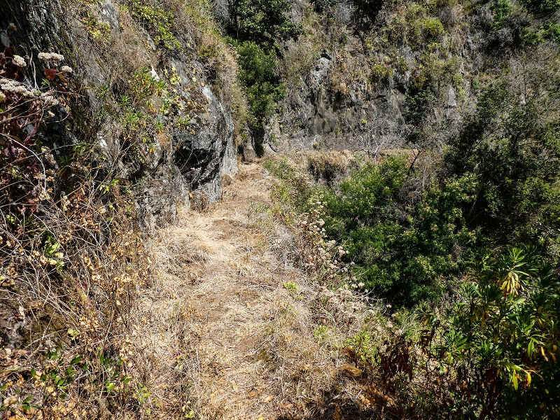17 de maio de 2019 Para fechar: 5 levadas em Ponta do Sol — Seguindo até ao túnel em galeria — foto 6