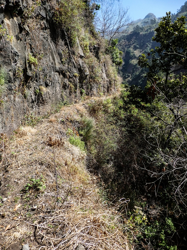 17 de maio de 2019 Para fechar: 5 levadas em Ponta do Sol — Seguindo até ao túnel em galeria — foto 8
