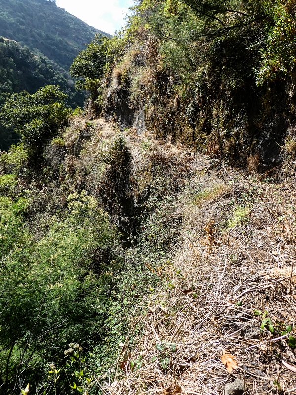 Levada do Coronel — Zur Madre 2 — Foto 5