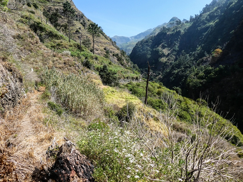 Levada do Coronel — Zur Madre 2 — Foto 4