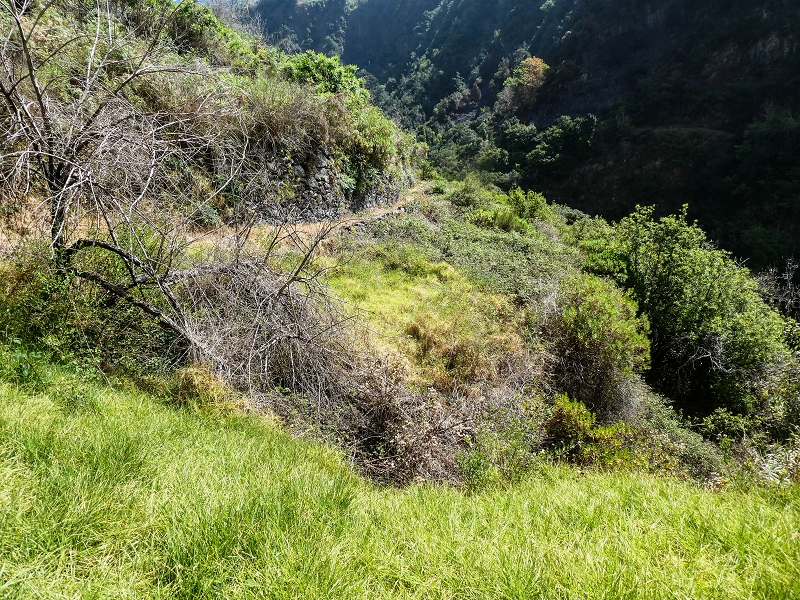 17 de maio de 2019 Para fechar: 5 levadas em Ponta do Sol — Seguindo até ao túnel em galeria — foto 11