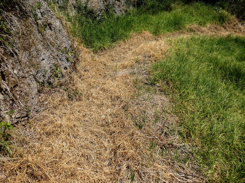 17 de maio de 2019 Para fechar: 5 levadas em Ponta do Sol — Seguindo até ao túnel em galeria — foto 12