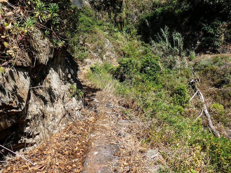 17 de maio de 2019 Para fechar: 5 levadas em Ponta do Sol — Seguindo até ao túnel em galeria — foto 13