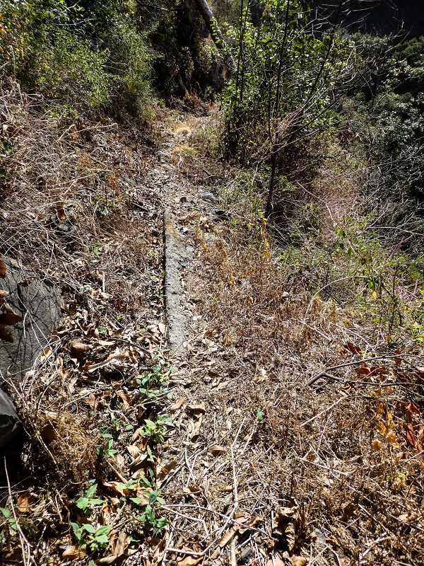Levada do Coronel — Zur Madre 2 — Foto 3