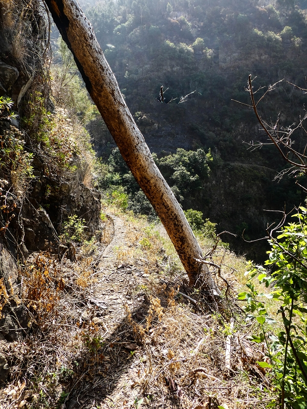 17 de maio de 2019 Para fechar: 5 levadas em Ponta do Sol — Seguindo até ao túnel em galeria — foto 16