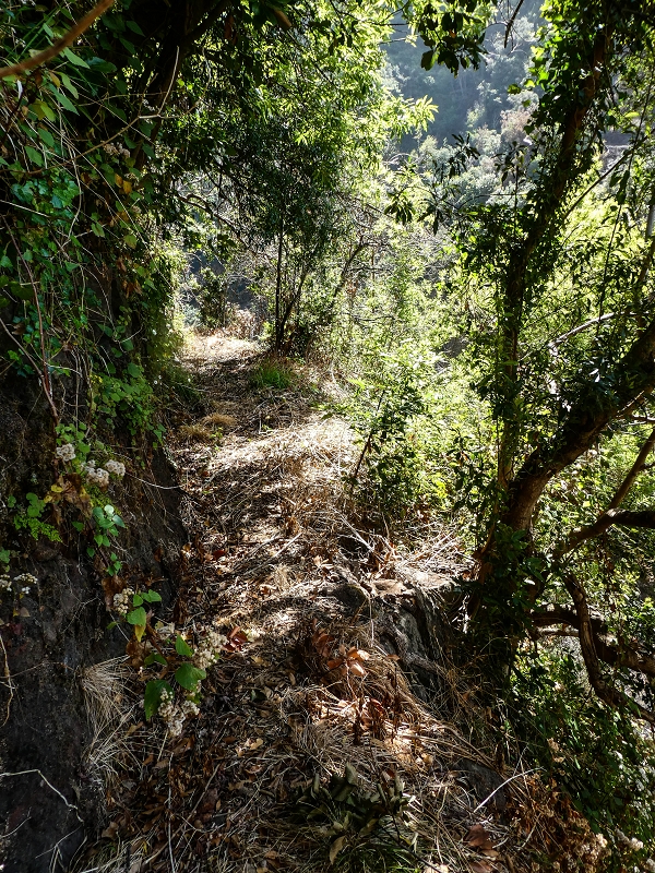17 de maio de 2019 Para fechar: 5 levadas em Ponta do Sol — Seguindo até ao túnel em galeria — foto 20