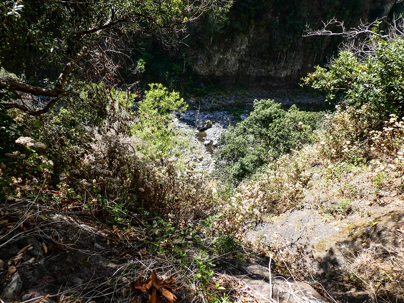17 de maio de 2019 Para fechar: 5 levadas em Ponta do Sol — Seguindo até ao túnel em galeria — foto 21
