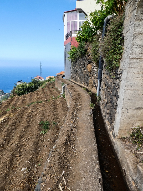 17 de maio de 2019 Para fechar: 5 levadas em Ponta do Sol — Para a Levada do Coronel e até ao cruzamento de estradas — foto 7