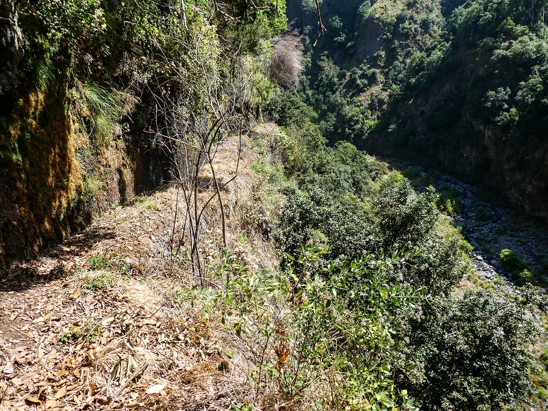 17 de maio de 2019 Para fechar: 5 levadas em Ponta do Sol — Seguindo até ao túnel em galeria — foto 23