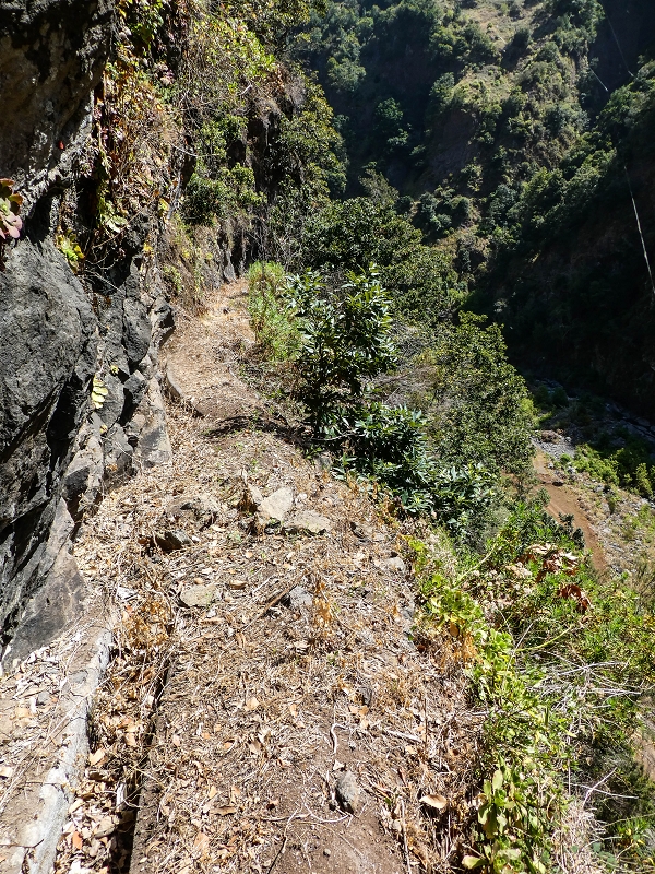 17 de maio de 2019 Para fechar: 5 levadas em Ponta do Sol — Seguindo até ao túnel em galeria — foto 25