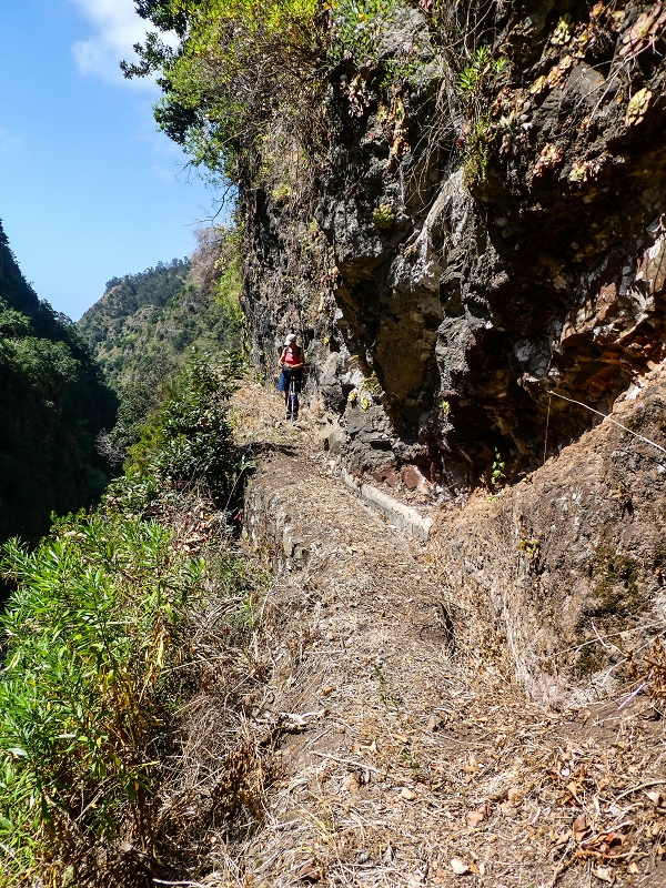 17 de maio de 2019 Para fechar: 5 levadas em Ponta do Sol — Seguindo até ao túnel em galeria — foto 26