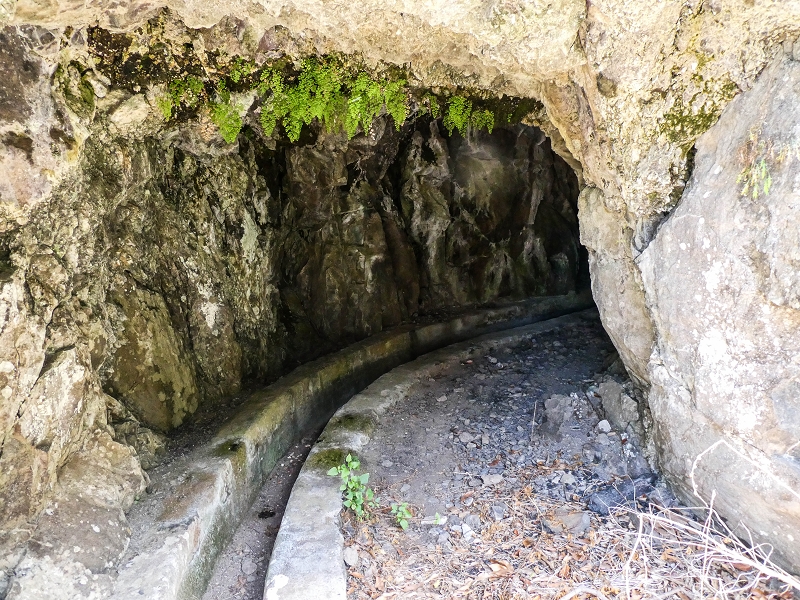 17 de maio de 2019 Para fechar: 5 levadas em Ponta do Sol — O túnel em galeria — foto 1